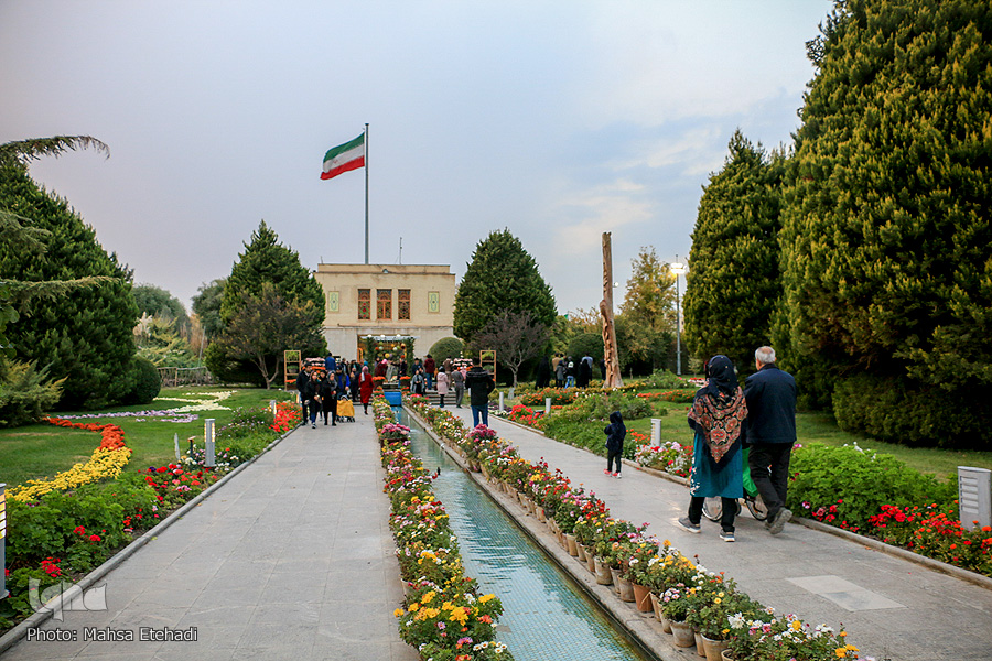 جشنواره گل&zwnj;های داودی