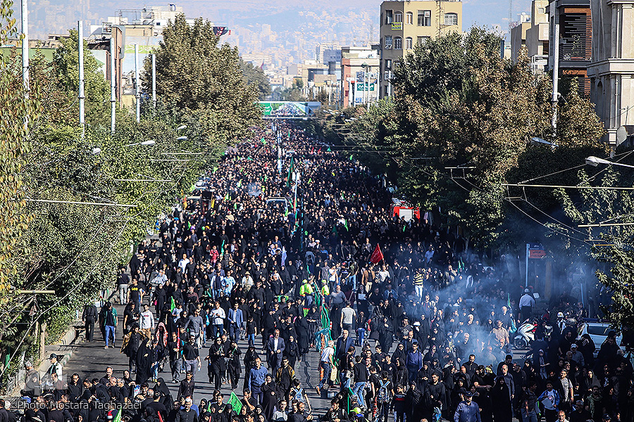 امید در جازموریان، نگرانی در جنگل‌های هیرکانی