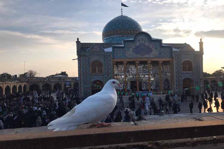 آیین تعویض پرچم امامزاده حسین (ع) قزوین