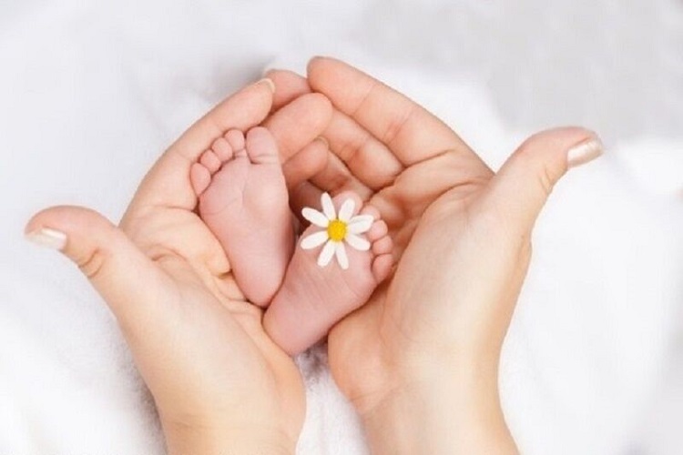 بسیجیان البرزی از خدمات طرح &laquo;رویش امید&raquo; بهره&zwnj;مند می&zwnj;شوند
