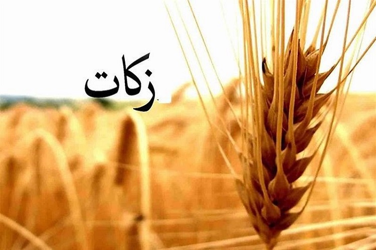پرداخت 12 میلیارد تومان زکات توسط سمنانیها پرداخت 12 میلیارد تومان زکات توسط سمنانیها