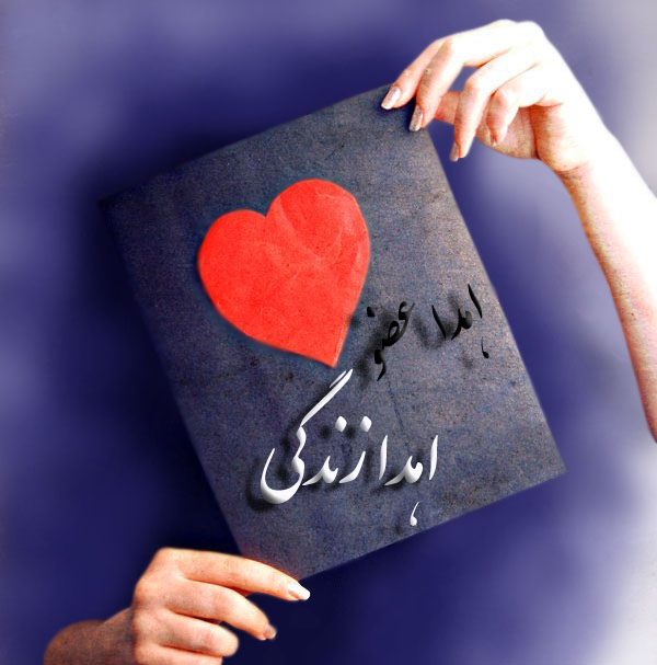 زندگی دوباره چهار بیمار نیازمند پیوند عضو