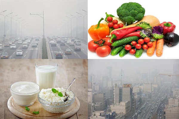 بهترین خوراکیها برای کاهش مضرات آلودگی هوا