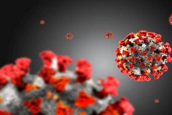 روز بدون فوتی کرونایی در زنجان