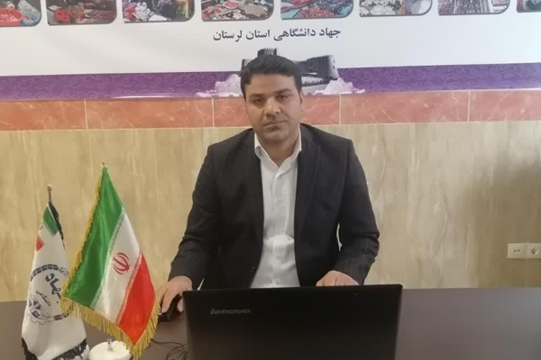اجرای طرح ملی مشاغل خانگی با ظرفیت ۱۰۰۰ نفر در لرستان