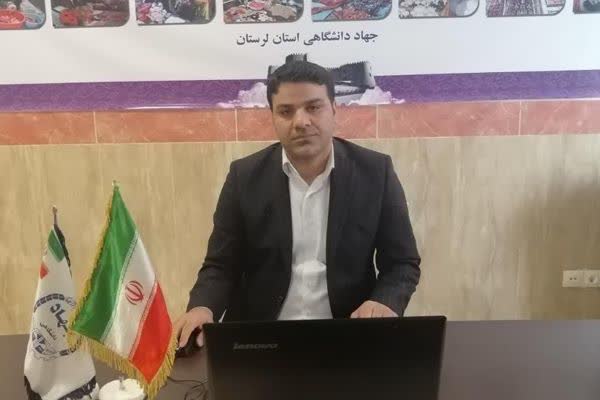 پنجشنبه ارسال شود//هزار لرستانی از طرح توسعه مشاغل خانگی بهره&zwnj;مند می&zwnj;شوند