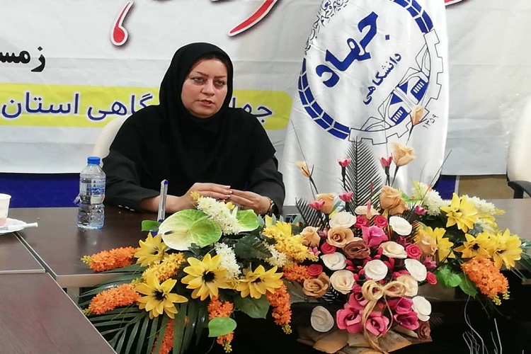 وبینار&laquo;مهارت&zwnj;های زندگی؛ آنچه که زنان موفق و اثرگذار باید بدانند&raquo; در جهاددانشگاهی برگزار شد