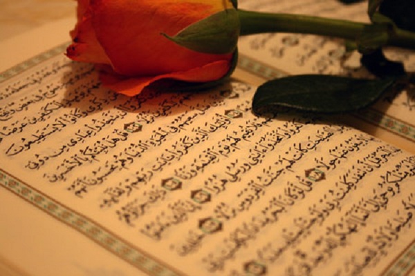 علیرضا سلیمانی