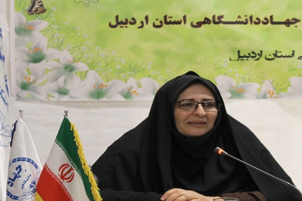 کاهش آسیب&zwnj;های اجتماعی با اجرای طرح ملی &laquo;توسعه مشاغل خانگی&raquo;