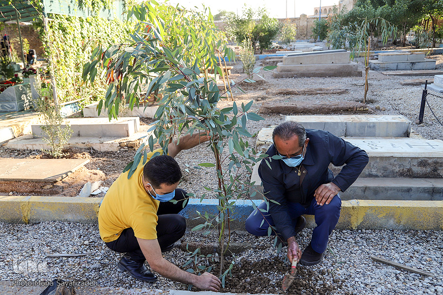 درخت کاری برای یاری به 5000 خانواده کم برخوردار