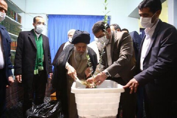 اهتمام جدی برای کاشت درخت در ایران/ حراست از جنگل&zwnj;ها