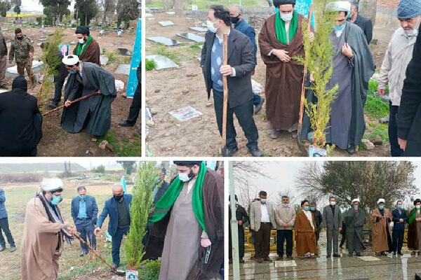 ارسالی پنج شنبه// غرس ۱۰ هزار اصله درخت در جوار بقاع متبرکه گلستان