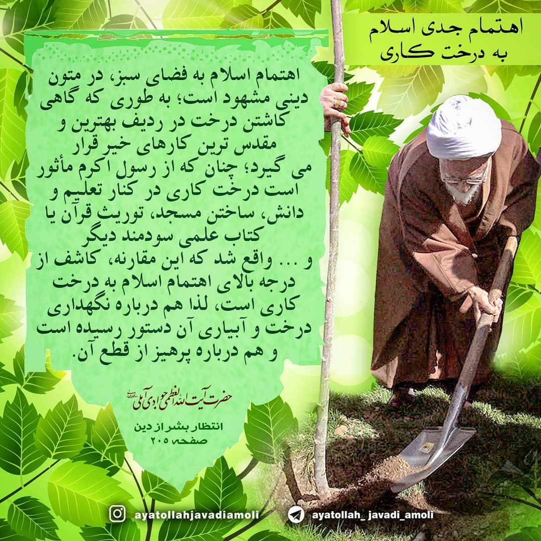 فتوتیتر | اهمیت جدی اسلام به درختکاری