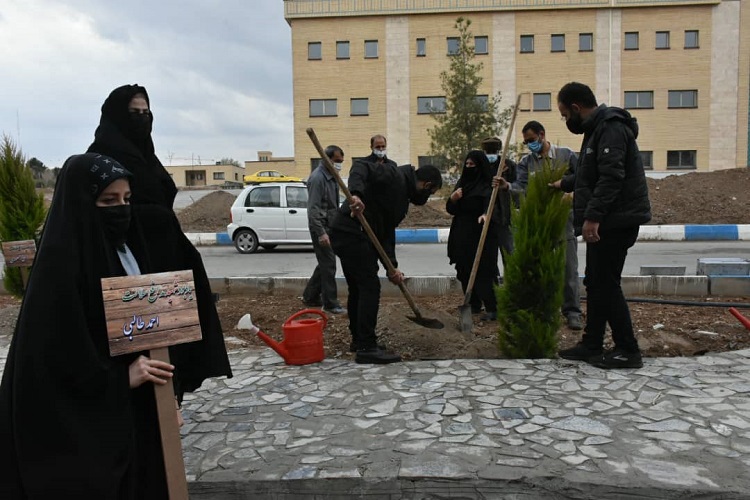 درختکاری با نام شهدا
