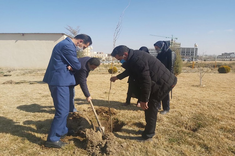 قدردانی از کادر درمان با کاشت نهال قدردانی از کادر درمان با کاشت نهال