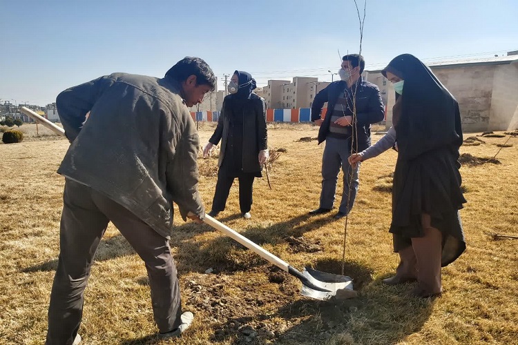 قدردانی از کادر درمان با کاشت نهال قدردانی از کادر درمان با کاشت نهال