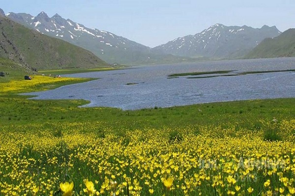 طرح جامع زیست بومی حفاظت از دریاچه نئور اجرا می&zwnj;شود&lrm;