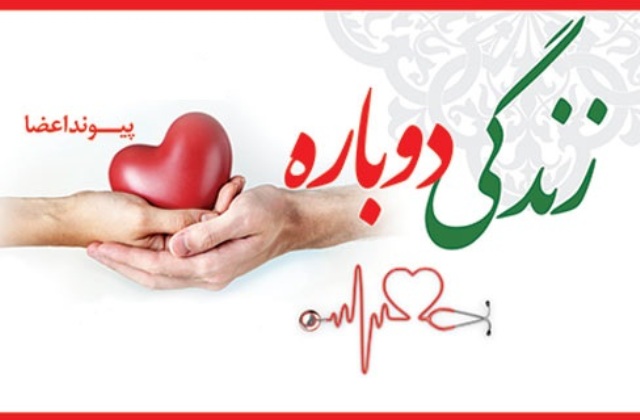 اهدای عضو در دانشگاه علوم پزشکی مشهد به 6 بیمار