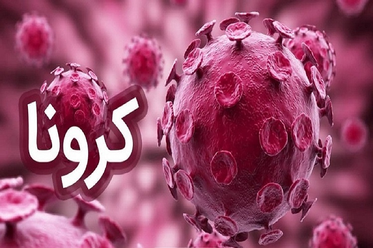 اعلام اقدامات کرونایی بنیاد شهید کهگیلویه&zwnj;وبویراحمد