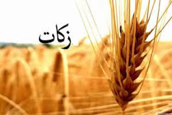 پرداخت زکات در آذربایجان&zwnj;غربی ۲۱ درصد افزایش یافت