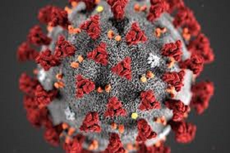 گرمای هوا تأثیری بر رفتار ویروس کرونا ندارد گرمای هوا تأثیری بر رفتار ویروس کرونا ندارد