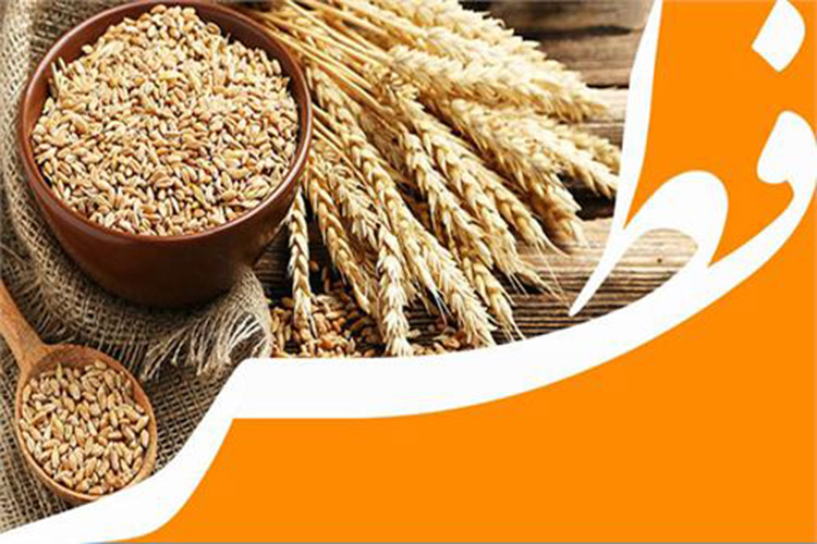 یزدی&zwnj;ها ۱ میلیارد و 100 میلیون تومان فطریه و کفاره پرداخت کردند