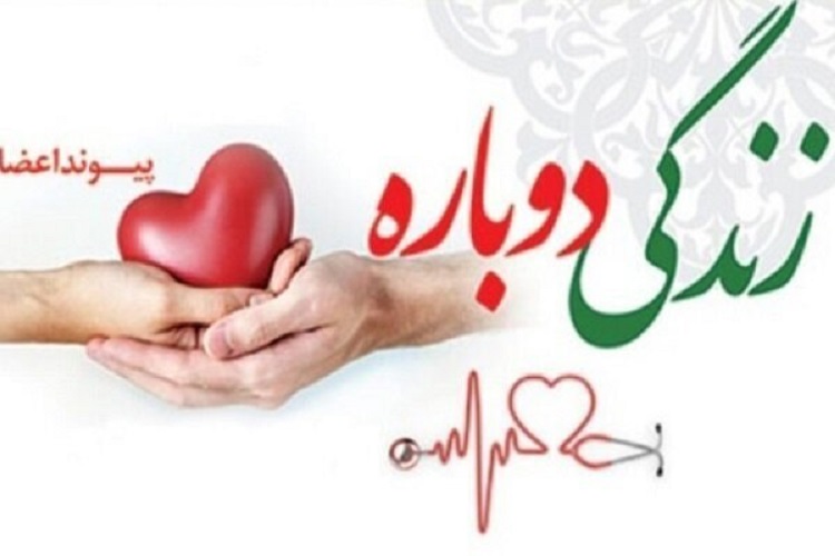 اعضای بدن کودک یاسوجی به بیماران نیازمند اهدا شد اعضای بدن کودک یاسوجی به بیماران نیازمند اهدا شد