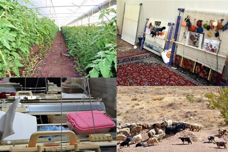 اجرای 250 طرح اشتغال روستایی در البرز اجرای 250 طرح اشتغال روستایی در البرز