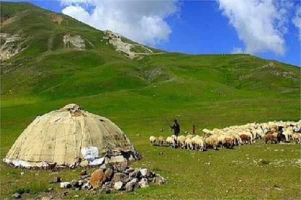 اهدای ۱۷۰ راس دام سبک به نیازمندان توسط عشایر استان اردبیل