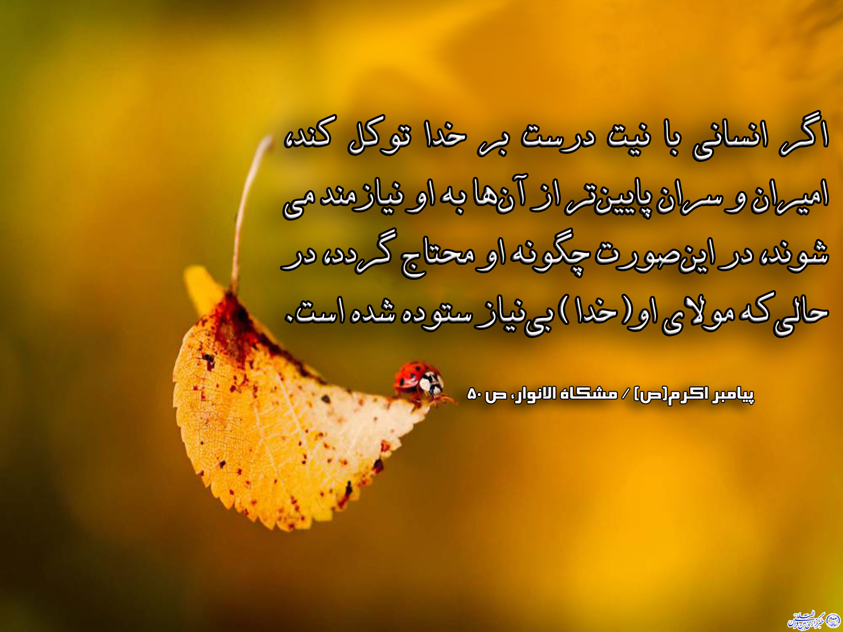 حدیث&zwnj;نگاشت | توکل بر خدا باعث بی&lrm;نیازی می&lrm;شود