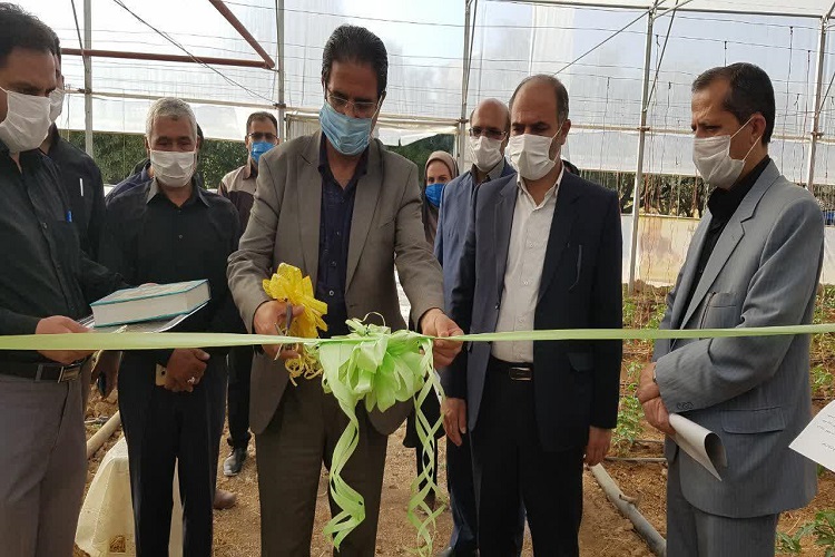 افتتاح خانه هلال در 5 روستای تویسرکان