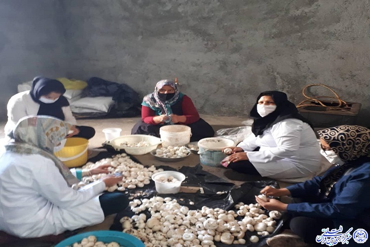همت بانوان مسجدی روستای بزنج به بار نشست