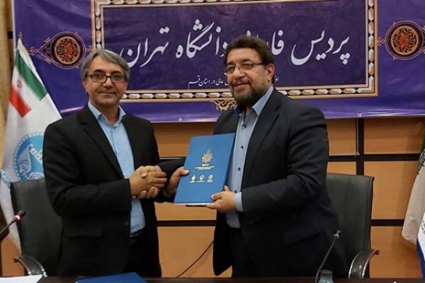 حفظ حریم خصوصی در عصر کرونا غیرممکن است
