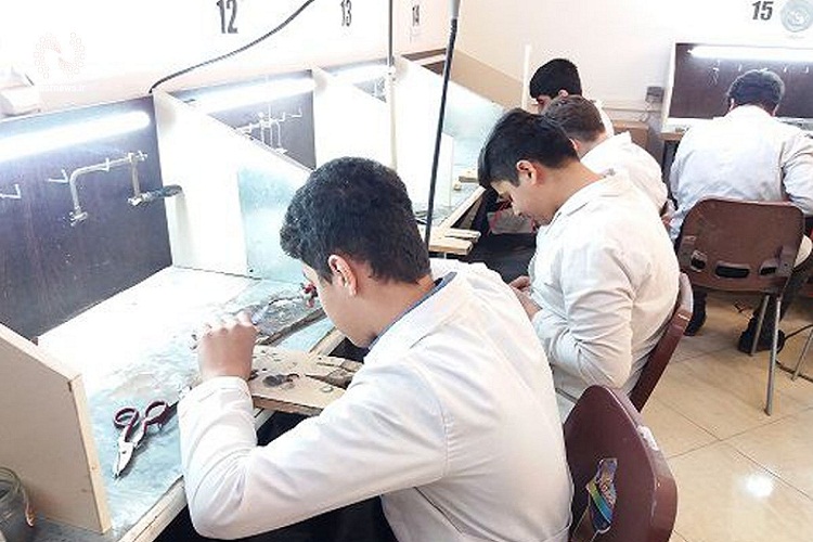 آموزش مهارت به ۱۳ هزار نفر در آذربایجان شرقی