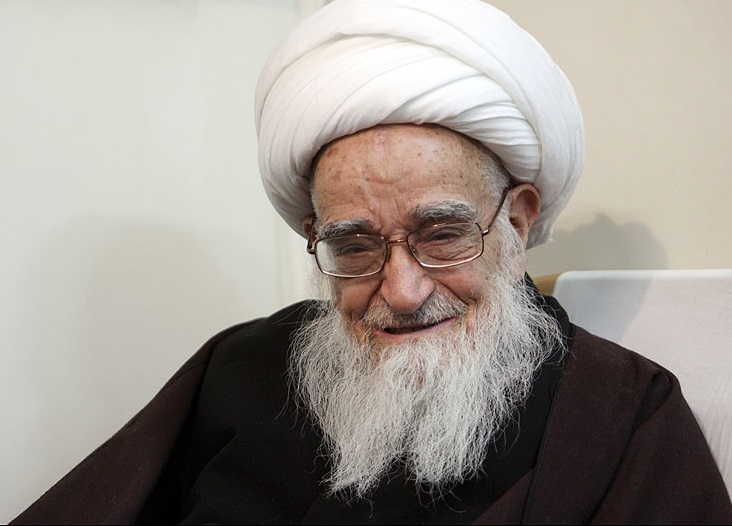 آیت&zwnj;الله صافی درگذشت حجت&zwnj;الاسلام نیازحسین نقوی را تسلیت گفت