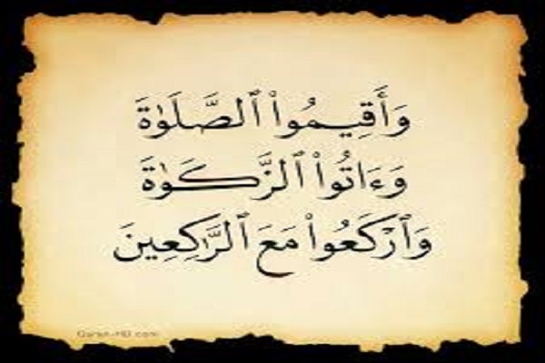 جمع آوری زکات جمع آوری زکات