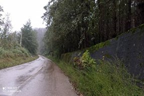 عکس | نقاشی پاییزی بر بوم لفور