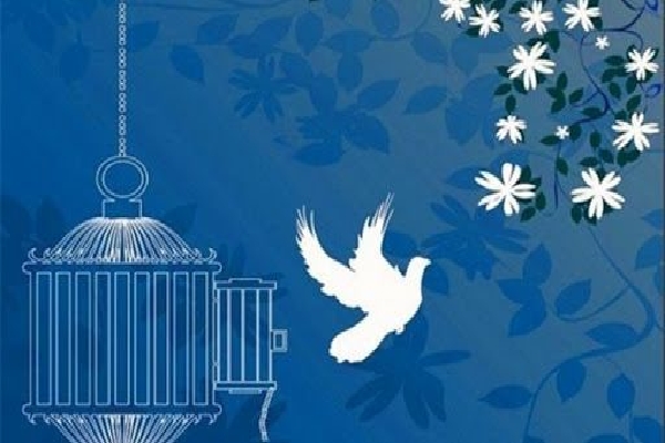 بخشش زندانی محکوم به قصاص در نقده&nbsp;