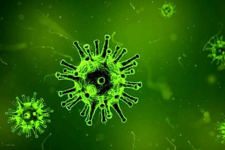 آخرین آمار کرونا ویروس در قزوین