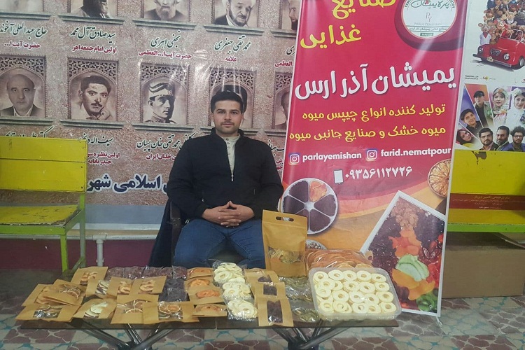 فرید نعمت پور، کارآفرین