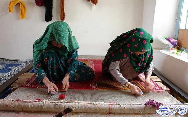 طرح مشاغل خانگی در بیرجند 
