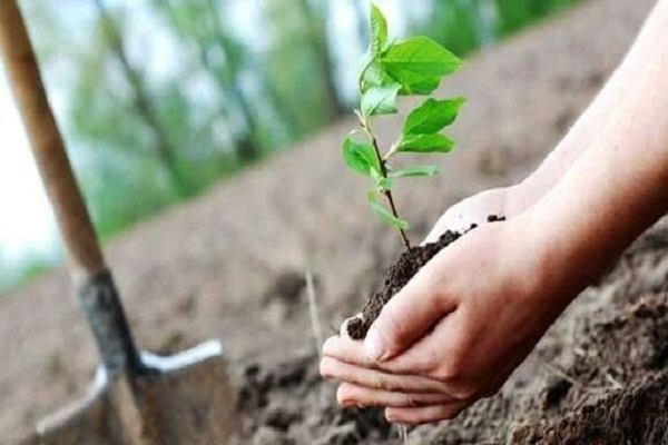 مسائل زیست محیطی به دانش&zwnj;آموزان خوزستانی آموزش داده می&zwnj;شود (آماده)