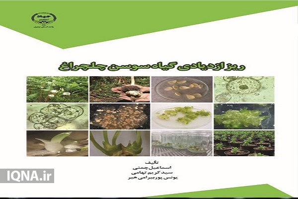 انتشارات جهاد دانشگاهی