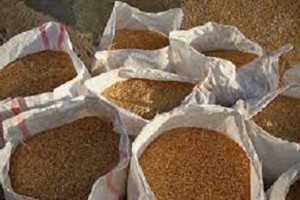 احتکار گندم