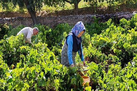 جشنواره همیاران فرهنگ و هنر روستا