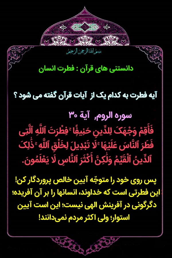 دانستنی‌های قرآنی + اینفوگرافی
