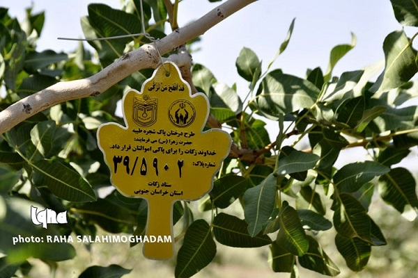ستاد زکات
