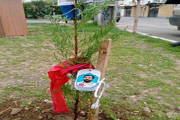 کاشت نهال به یاد شهدا