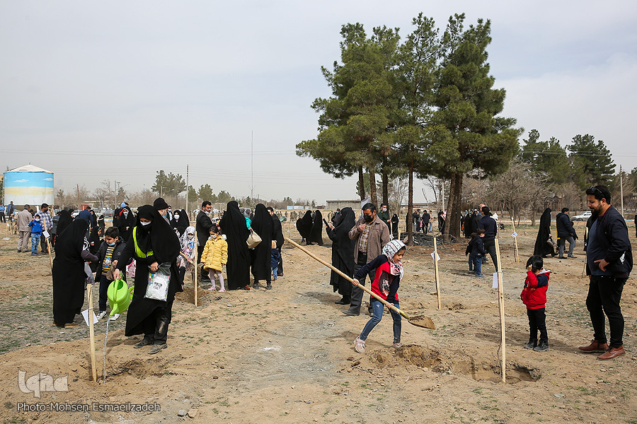 درختکاری روز درختکاری