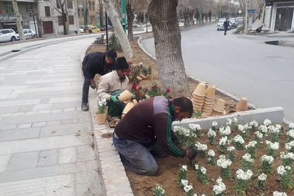 کاشت گل&zwnj;های بهاری 